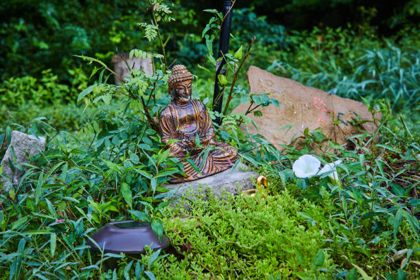 Image of Lone Buddha statue in wild gardens of temple