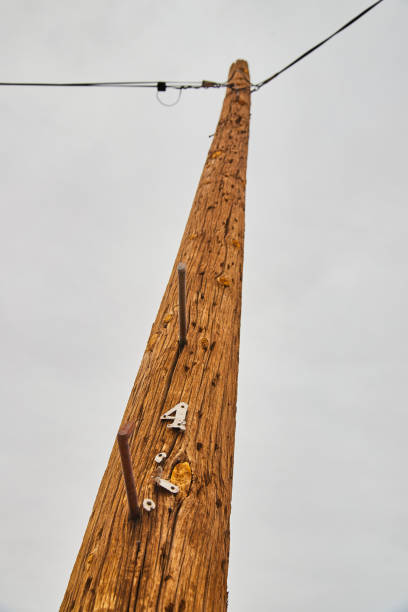 istock Looking up at telephone pole power with number four 1490397464