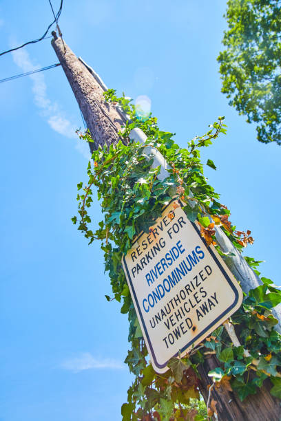 istock Looking up at telephone pole with reserved parking warning sign 1490397485