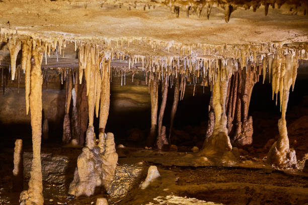 istock Low cave tunnel with formations of stalagmites and stalactites 1490397546