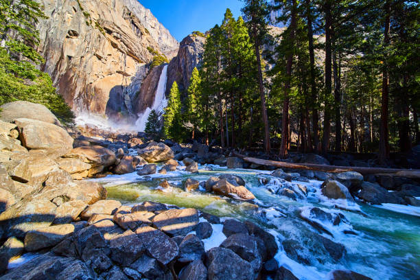 istock Lower Yosemite Falls in early spring with frosty blue rivers 1490397585