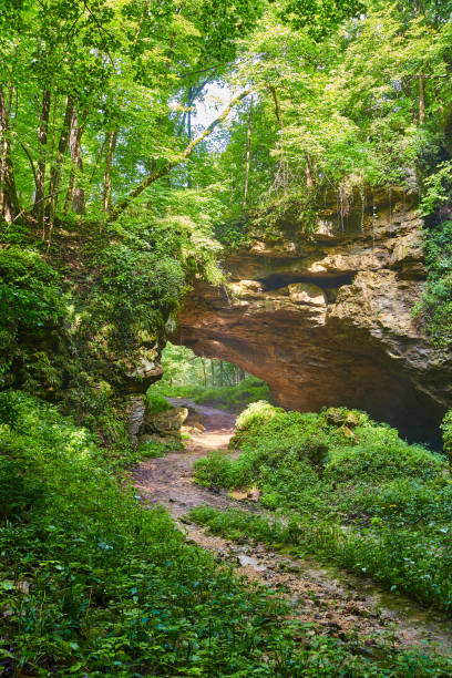 istock Lush forest with trail through a natural stone tunnel 1490397586