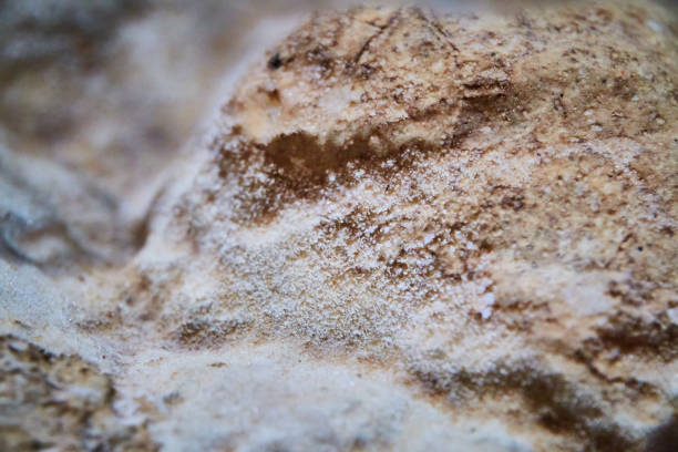 Image of Macro detail of cave ceiling covered in tiny white crystals
