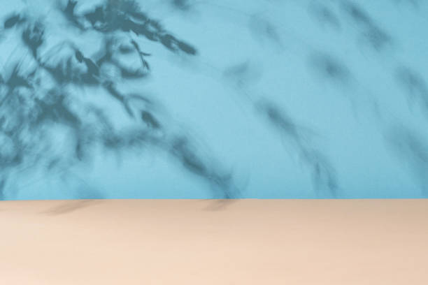 istock Tropical leaf shadow blank background composition for product presentation. The background is beige. Nude Studio Minimal showcase 1490398460
