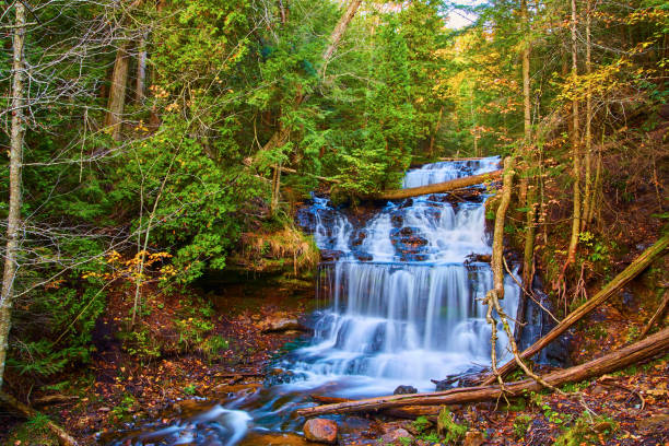 istock Majestic waterfalls cascading down river layers in forest near fall 1490398648
