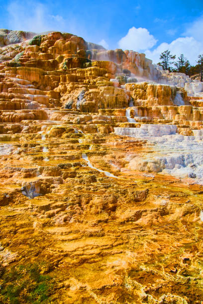 Image of Majestic Yellowstone Hot Spring terraces in winter