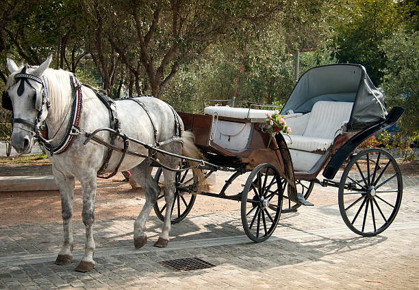 istock The carriage in Athens 149039935