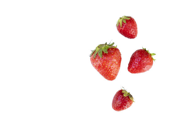 istock Group of four strawberries 1490399579