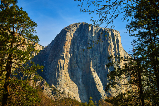 Image of Mountains in morning light at Yosemite National Park