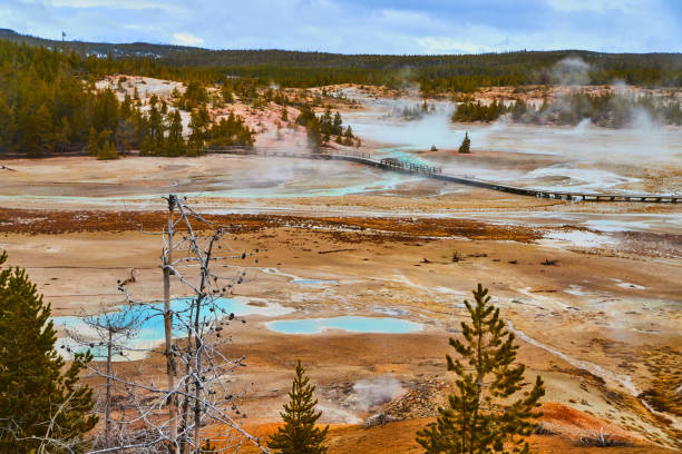 istock Norris Basin in Yellowstone with acidic waters on steamy day 1490400045