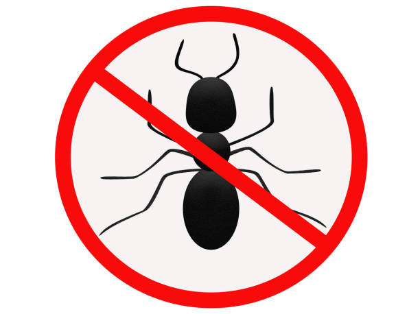 istock Ant icon isolated on white background. Ant fighting symbol. Isolated. Anti ants illustration. 1490401036