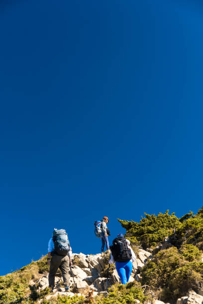 istock Hikers walking alone on top of a mountain. 1490403103