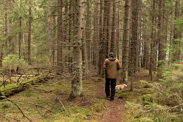 istock A man with a yellow dog walks through a mossy forest 1490405232