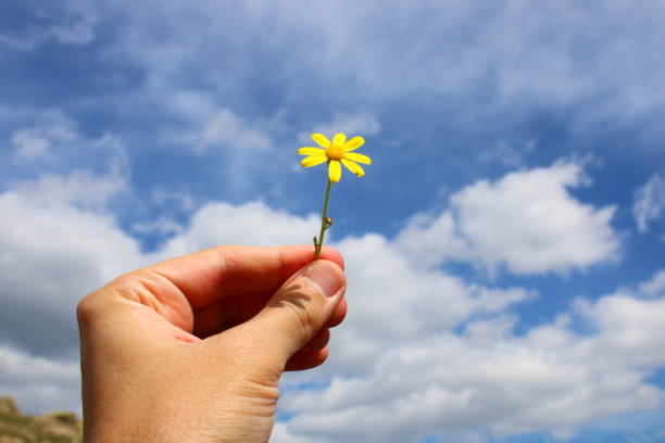 istock A hand holds a yellow flower against a blue sky. 1490406082