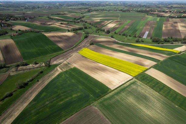 istock Colorful patterns in crop fields at farmland, aerial view, drone photo 1490408906