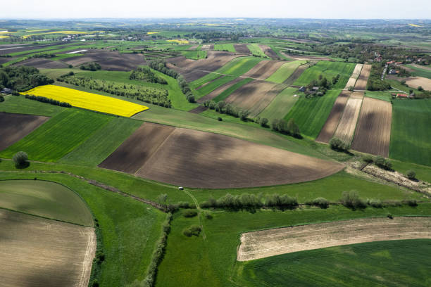 istock Colorful patterns in crop fields at farmland, aerial view, drone photo 1490408977