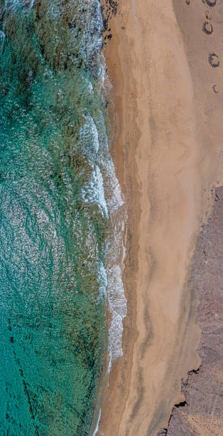 istock Vertical drone panorama on a tropical sandy beach with surf 1490409789