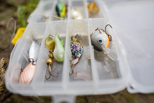 fishing lures in a box with compartments