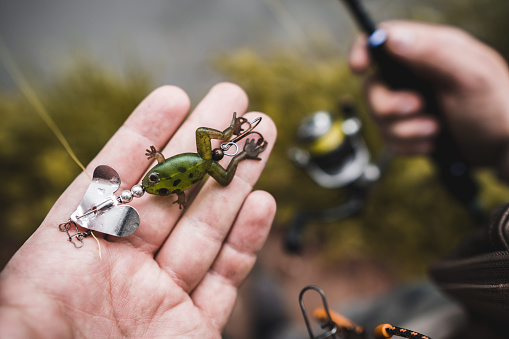 frog shaped fishing lure