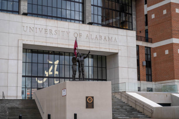 estádio bryant-denny no campus da universidade do alabama em um dia nublado. - big time fotos - fotografias e filmes do acervo