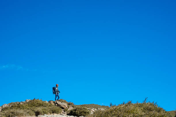 Hikers stand on top of a mountain looking at view.