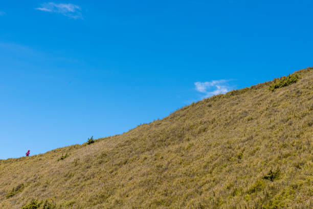 Hikers walking alone on top of a mountain.