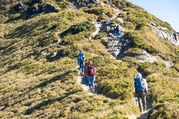 istock Hikers walking alone on top of a mountain. 1490415768