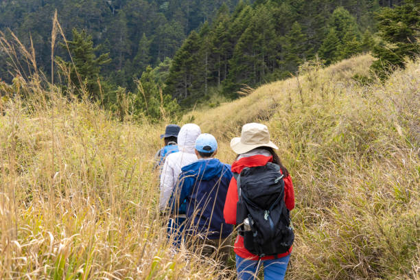 istock Hikers walking alone on top of a mountain. 1490415804