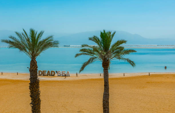 istock wonderful vacation on the dead sea beach 1490416685