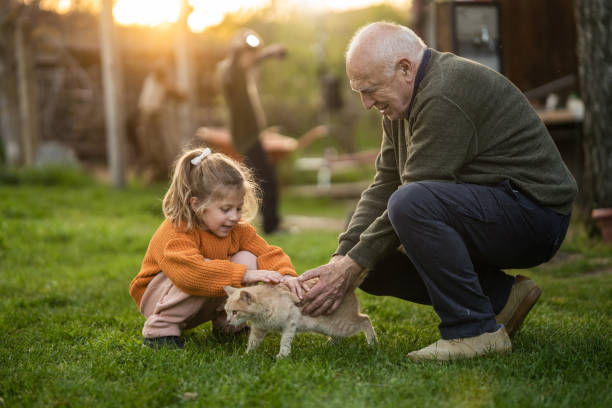 Little girl and grandpa petting a cat stock photo