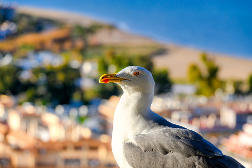 Denia, Spain