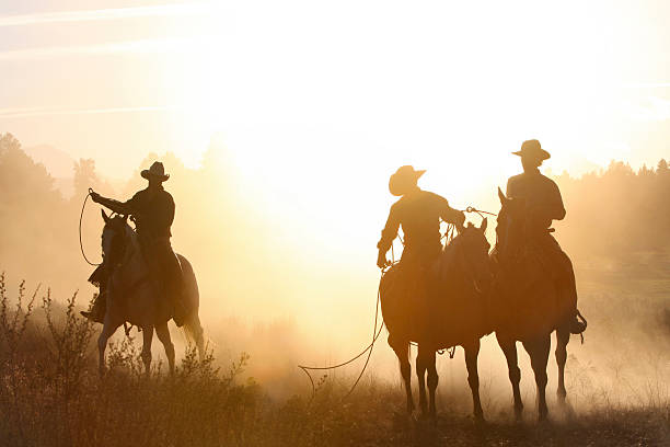 istock cowboys_ silhouette_evening horse round up 149042253