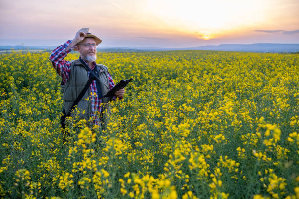 istock Cheerful  farmer in a canola field at sunset. 1490422540