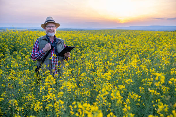 istock A farmer in a canola field at sunset. 1490423108