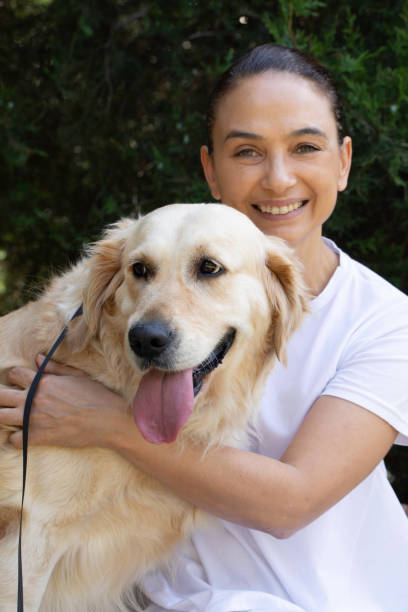 istock Golden Retriver with His Owner 1490423378