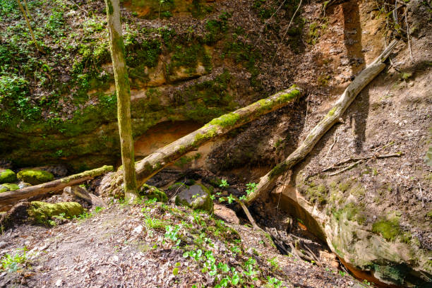 istock Red sand cliffs Sigulda, Latvia. Gaujas national park 1490423702