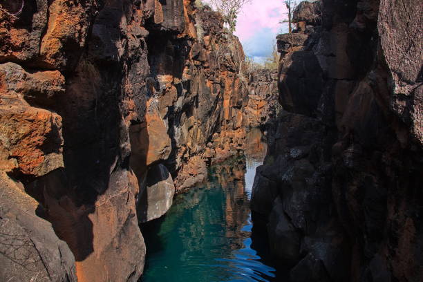 Canyon Las Grietas at Puerto Ayora on Santa Cruz island of Galapagos islands, Ecuador, South America Canyon Las Grietas at Puerto Ayora on Santa Cruz island of Galapagos islands, Ecuador, South America santa cruz island galapagos islands stock pictures, royalty-free photos & images