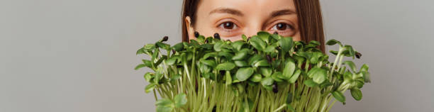 Banner size shot with copy space of some eyes of a woman and micro greens. stock photo