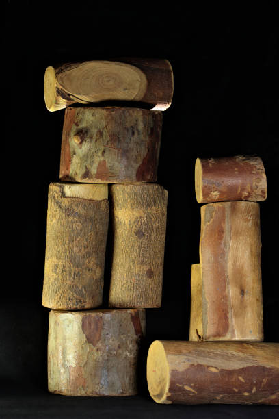 istock parts of tree trunks and branches stacked on a black background. 1490434910