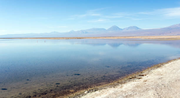istock View of Chaxa lagoon 1490438259