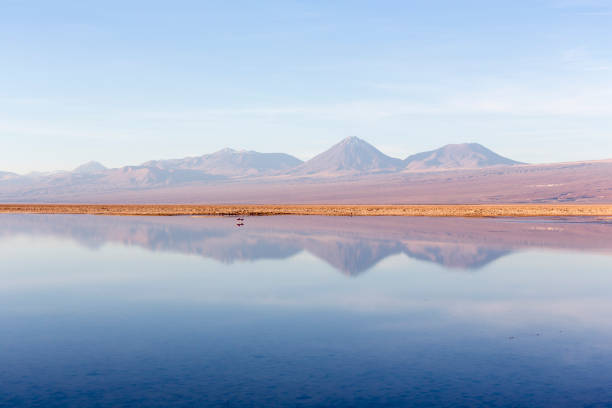 istock View of Chaxa lagoon 1490438329