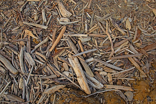 pieces of driftwood