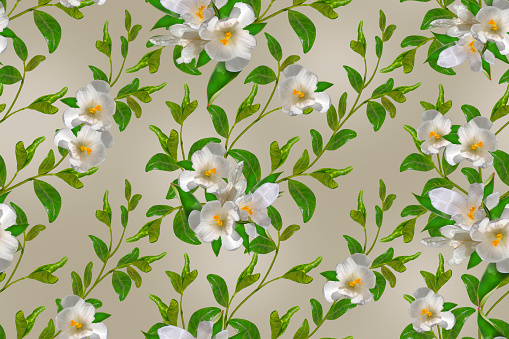 Seamless floral pattern with white flowers on a gray background.