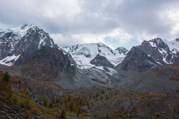 istock Dramatic view from hills with trees to large snow mountain range with glacier and icefall in cloudy sky. High snowy mountains under rainy clouds. Fading autumn colors in mountains in overcast weather. 1490441246