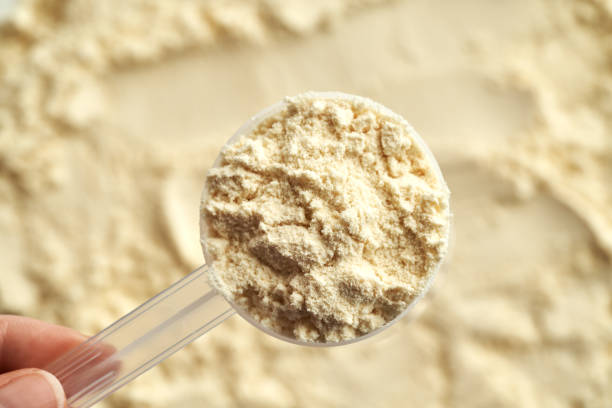 istock Whey protein powder in a plastic measuring spoon 1490441435