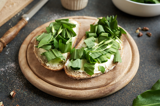 Two slices of bread with fresh wild garlic leaves and buds