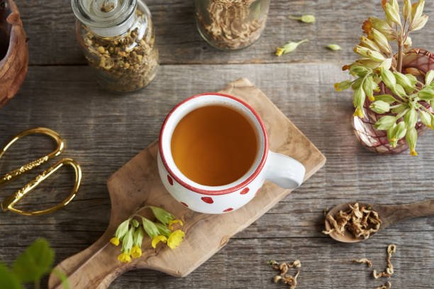 istock A cup of herbal tea with fresh primula flowers 1490441852