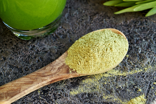 Barley grass powder on a wooden spoon with fresh blades and green juice