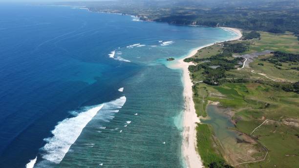 istock the ocean, water, and a beach with a white sand shore 1490441879