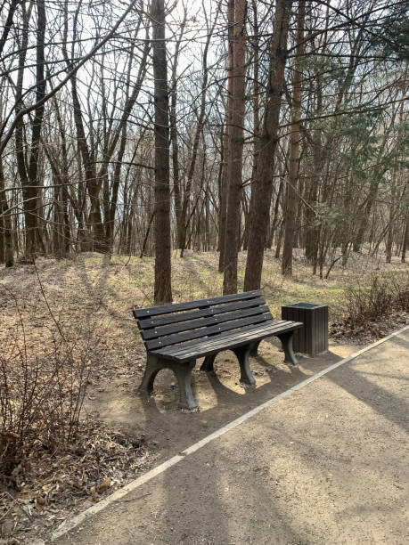 istock wooden bench in a sunny park in early spring. 1490442015